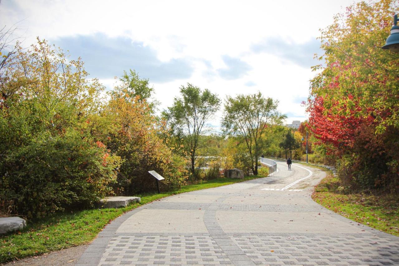 Condo In Parklawn & Lake Shore With Free Parking Close To Airport Toronto Buitenkant foto
